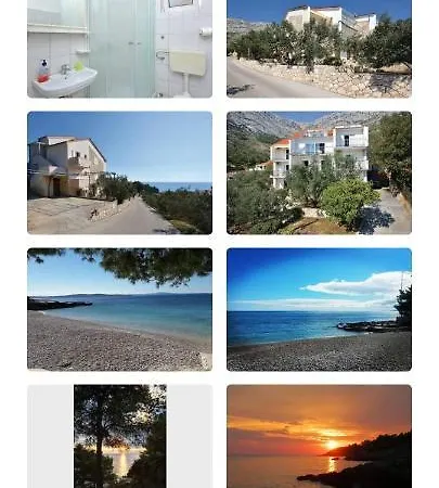 Rado *